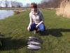 bild1